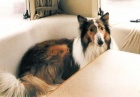 db_joey0113 db_joey0113