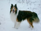 db_joey0213 db_joey0213