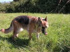 db_unsere_wiese1 db_unsere_wiese1